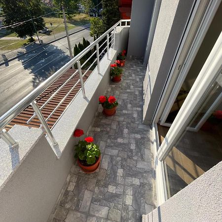 Apartman Ambijent Arandjelovac Ngoại thất bức ảnh